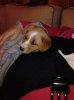 IMG_20121125_190142_0.jpg