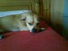 DSC00344.jpg DSC00344.jpg
