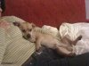 IMG_0003.jpg IMG_0003.jpg