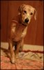 iviIMG_5578.jpg.jpg