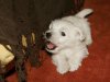 IMG_0610_800x600.JPG