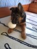 2012_12_04 12.01.33.jpg