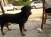 DSCN4407.jpg