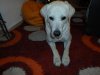 SAM_0064.jpg SAM_0064.jpg
