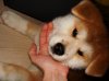 DSC00205.jpg