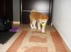 DSC00232.jpg