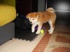 DSC00233.jpg