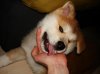 DSC00209.jpg