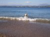 PC170680.jpg