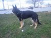 DSC00411.jpg