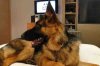 ImageUploadedByTapatalk HD1363977440.715697.jpg
