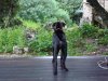 DSC01571.jpg