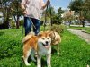 DSC00326.jpg