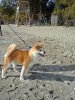 DSC00439.jpg