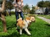 DSC00324.jpg