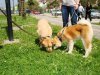 DSC00340.jpg