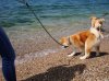 DSC00352.jpg