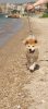 DSC00357.jpg