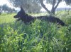 DSC00113.jpg
