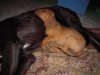 DSCN6953.jpg