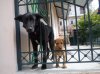 DSC00207.jpg