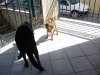 DSC00240.jpg