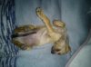 DSC00282.jpg