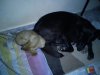 DSC00275.jpg