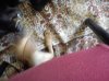 DSC00307.jpg
