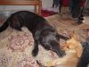 DSCN6978.jpg