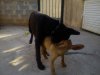 DSC00355.jpg