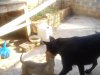 DSC00350.jpg
