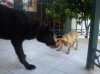 DSC00337.jpg