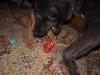 DSCN6991.jpg
