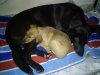 DSC00424.jpg