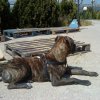 IMG_20130424_175634.jpg