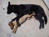 DSC00474.jpg