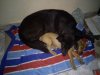 DSC00465.jpg