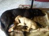 DSC00482.jpg