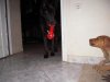 DSCN7002.jpg