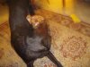DSCN7018.jpg