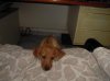DSCN7024.jpg