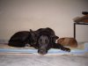 DSCN7050.jpg
