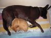 DSCN7057.jpg