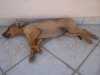DSC00766.jpg