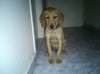 DSC00771.jpg