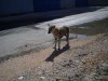 DSC00058.jpg
