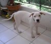 casper4.jpg