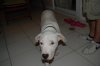 DSC_5759.jpg