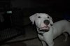 DSC_5787.jpg